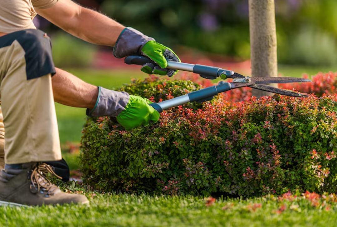 11- Garden Cleaning