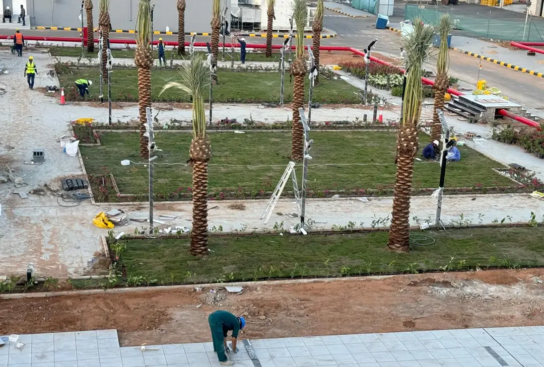3- Hardscape